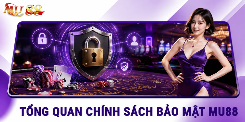 Tổng quan tại chính sách bảo mật 
